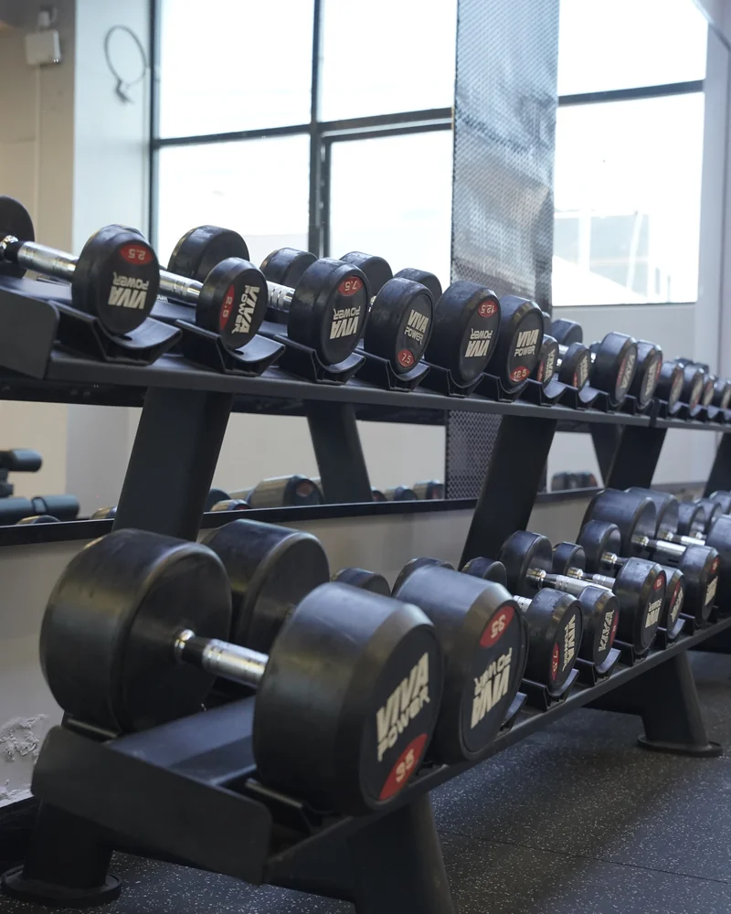 Heavy Polyurethane Round Dumbbells Rack and Free Weight Tier